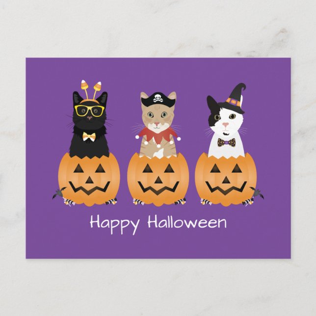 Happy Halloween Cats Jack O Lantern Holiday Postcard (Front)