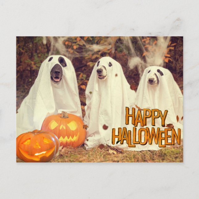 Happy Halloween Cute Dogs in Ghost Costumes Holiday Postcard (Front)
