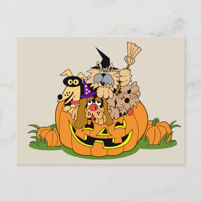 Happy Halloween Dogs In Pumpkin Postcard (Front)