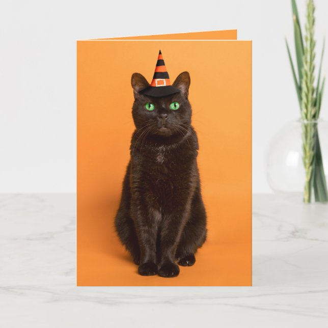 Happy Halloween For Anyone Black Cat in Witch Hat  Holiday Card (Front)