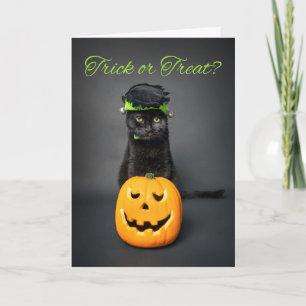 Happy Halloween For Anyone Cat iin Monster Costume Holiday Card