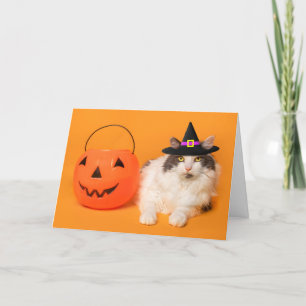 Happy Halloween For Anyone Cute Cat in Witch Hat Holiday Card