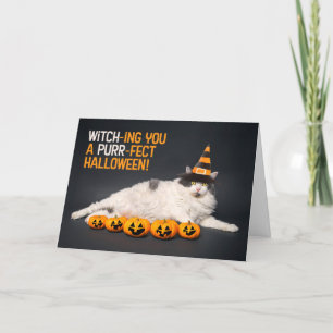 Happy Halloween For Anyone Funny Cat in Witch Hat Holiday Card