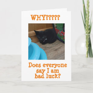 *HAPPY HALLOWEEN** FROM ITTY BITTY KITTY CARD