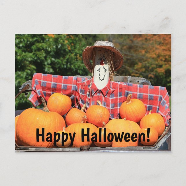 Happy Halloween from The Pumpkin Patch Postcard (Front)