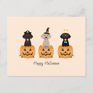 Happy Halloween Labrador Retriever Dogs Pumpkin Postcard