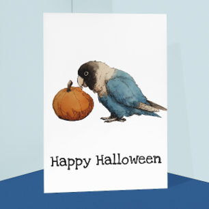 Happy Halloween Lovebird Pumpkin Drawing Postcard