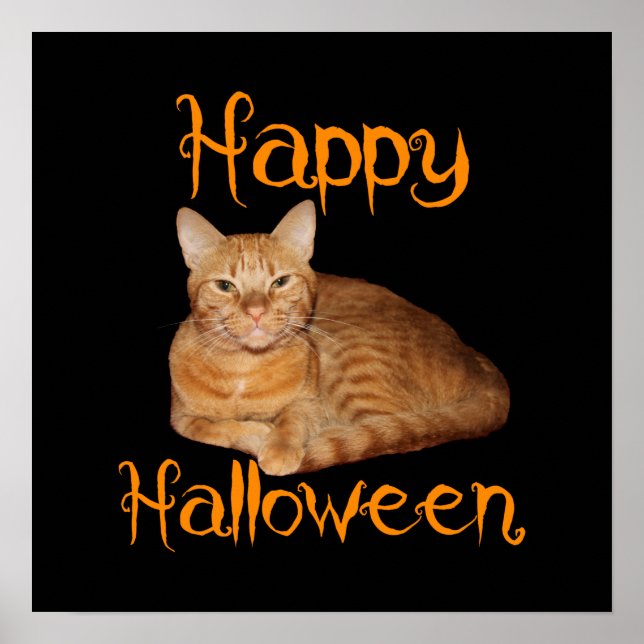 Happy Halloween Non-Scary Orange Tabby Cat Poster (Front)