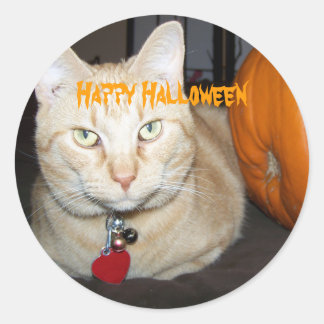 Happy Halloween Orange Tabby Cat With Pumpkin Classic Round Sticker