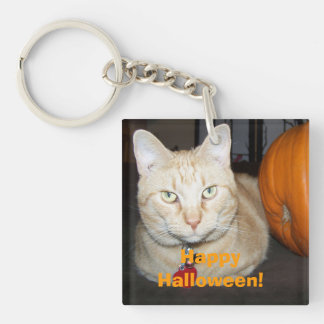 Happy Halloween Orange Tabby Cat With Pumpkin Key Ring