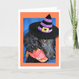 Happy Halloween Party Hat Poodle Card
