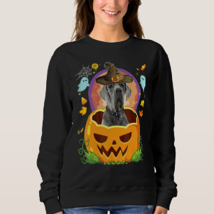 Happy Halloween Pumpkin Great Dane Dog Witch Cute Sweatshirt