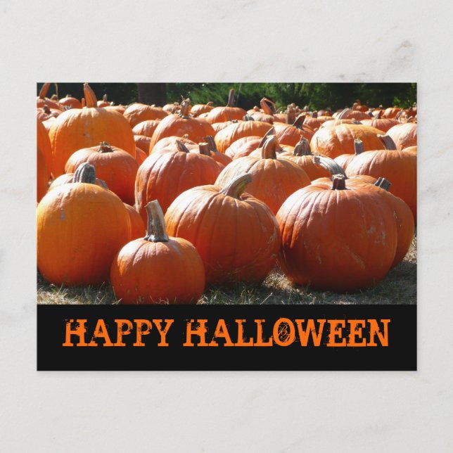 Happy Halloween Pumpkins Card (Front)