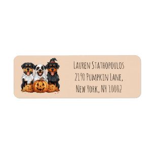 Happy Halloween Rottweiler Dogs Jack O Lantern Return Address Label