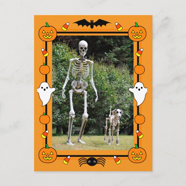 Happy Halloween Skeleton Holiday Postcard (Front)