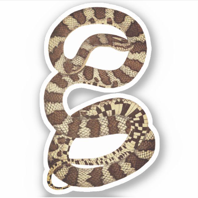 Happy Halloween Snake Stickers (Front)
