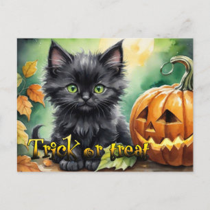 Happy Halloween trick or treat kitten Holiday Postcard