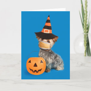 Happy Halloween Yorkie in Coronavirus Face Mask Holiday Card