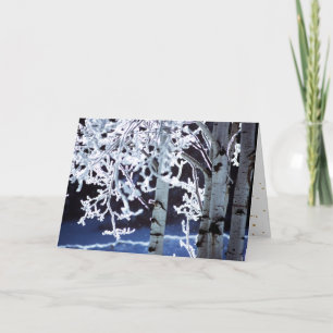 Happy Hanukkah Birch trees frost Holiday Card