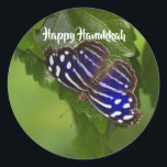 Happy Hanukkah blue and white butterfly Classic Round Sticker<br><div class="desc">Vibrant and Joyful this blue and white butterfly is ready to send your  Hanukkah greetings. The text can be customised to meet your needs. Photo by Ruth Jolly.See also matching products.</div>