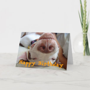 Happy Happy Birthday Card