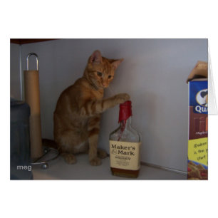 Happy Happy Hour (with text)