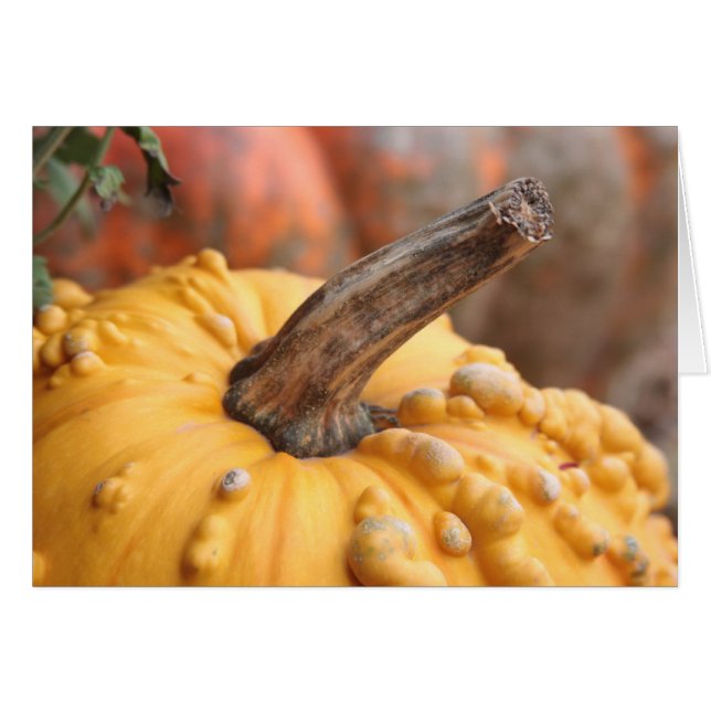 Happy Harvest! (Front Horizontal)