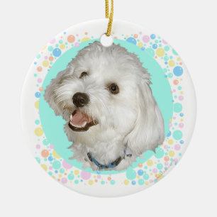Happy Havanese Ceramic Tree Decoration