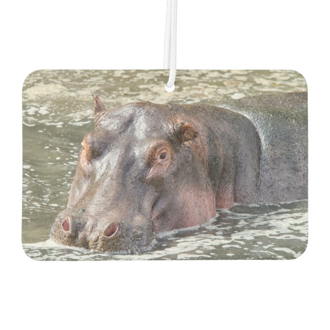 Happy Hippo Car Air Freshener (Back)