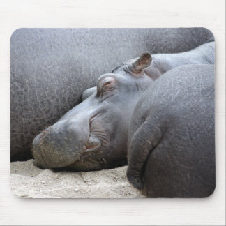 Happy hippo mousemat