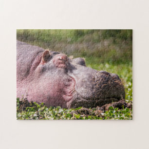 Happy Hippo Puzzle