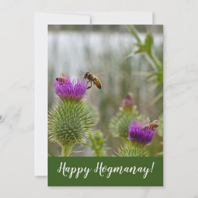 Happy Hogmanay Scottish Thistle Honey Bees Holiday Card (Front)