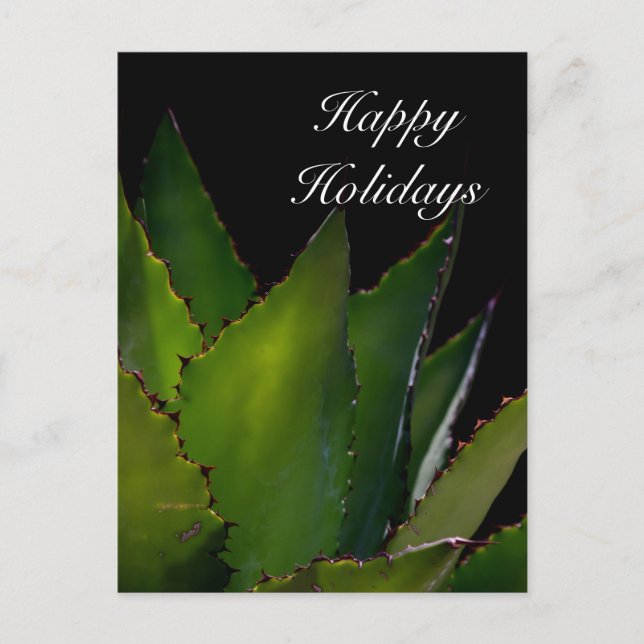 Happy Holidays Agave Holiday Postcard (Front)