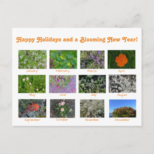 Happy Holidays and a Blooming New Year! Holiday Ca Postcard