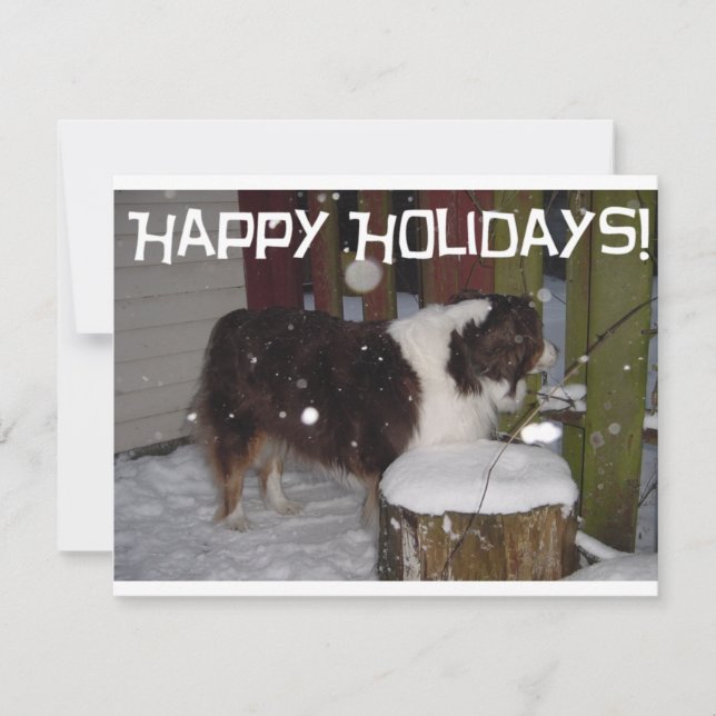 Happy Holidays Aussie Holiday Card (Front)