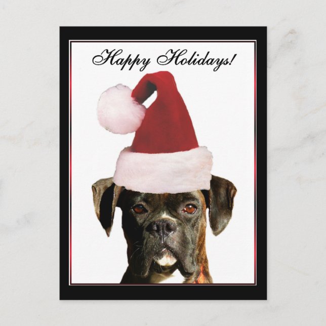Happy Holidays Boxer dog postcard (Front)