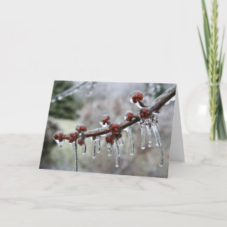 Happy Holidays Card