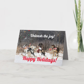 Happy Holidays Card Dogs