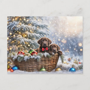 Happy Holidays Christmas Chocolate Lab Puppies Holiday Postcard
