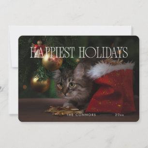 Happy Holidays Christmas Whisker Cat Cute Holiday Card