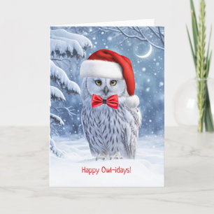 Happy Holidays Christmas with Cute Owl  Card