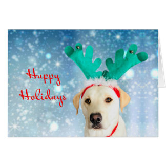 Happy Holidays Cute Dog Reindeer Antlers Festive