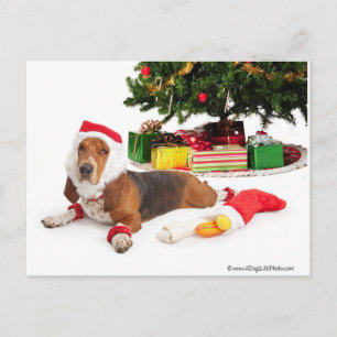 Happy Holidays/December Holiday Postcard