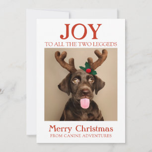 Happy Holidays Dog Photo From Dog Walker Holiday Card