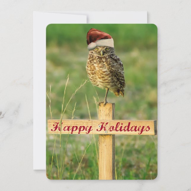 Happy Holidays Festive Owl Card Large 5 x 7 (Front)