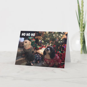 **HAPPY HOLIDAYS** FROM MERRY PUPPIES HOLIDAY CARD