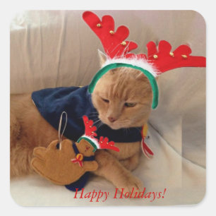 Happy Holidays from Stinky! Square Sticker