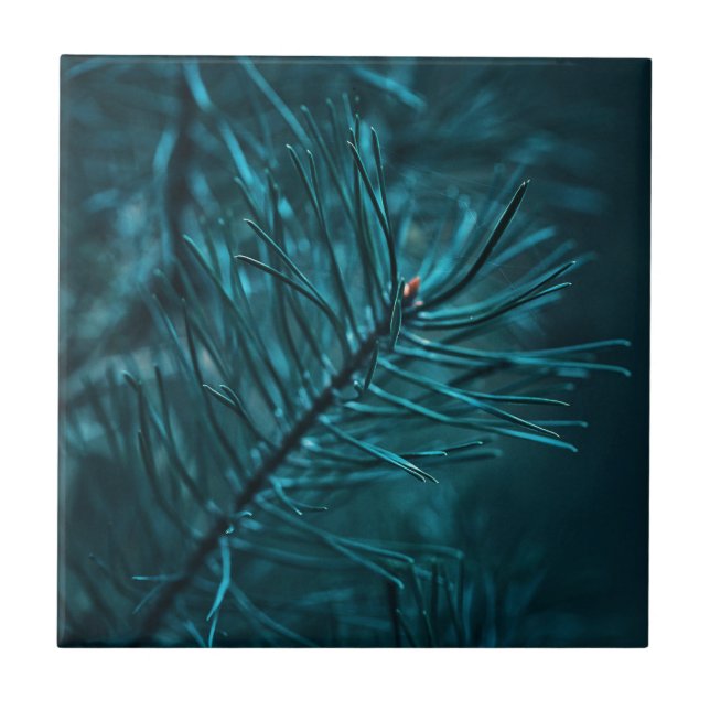 Happy Holidays Green Pine Fir Tree Ceramic Tile (Front)