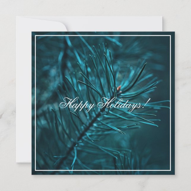 Happy Holidays Green Pine Fir Tree Greeting Card (Front)