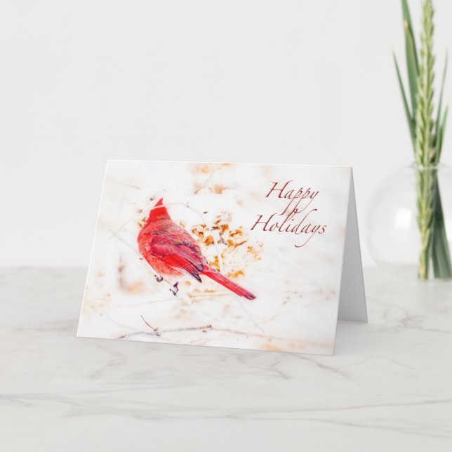 Happy Holidays Greeting Card - Eastern Cardinal (Front)
